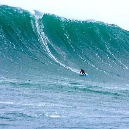 No.14 * Бунратти