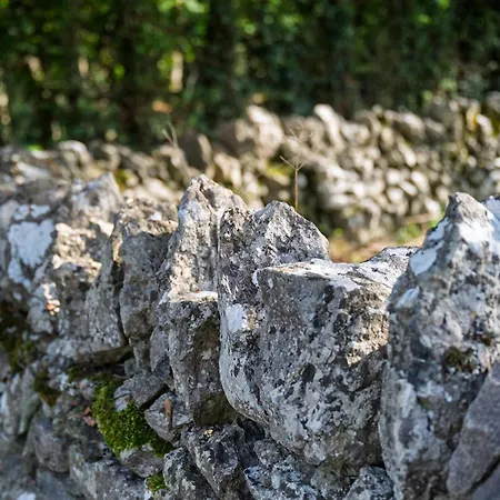 No.14 Prázdninový dům