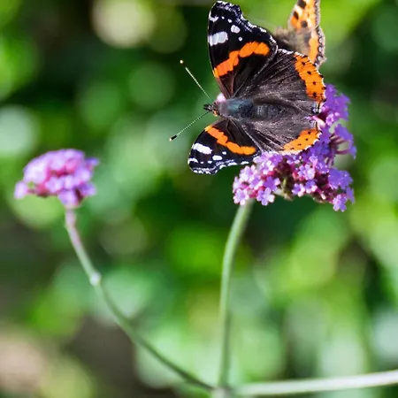 No.14 Дом отдыха *