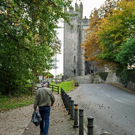 Dom wakacyjny No.14 Bunratty