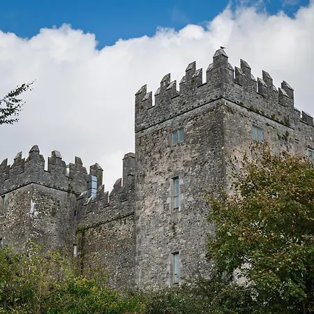 No.14 Дом отдыха Бунратти