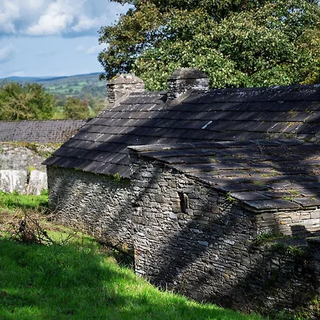 No.14 Dom wakacyjny Bunratty