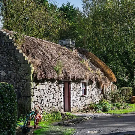 Dom wakacyjny No.14 Bunratty