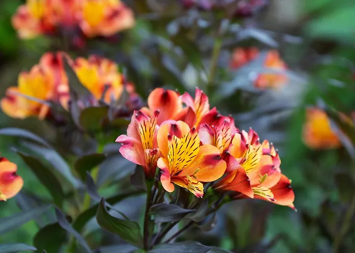 Hébergement de vacances No.14 Bunratty