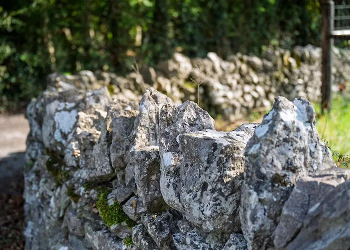 No.14 Hébergement de vacances