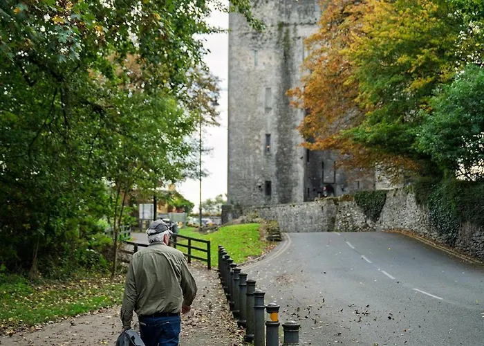 Hébergement de vacances No.14 Bunratty